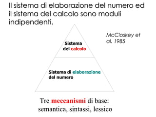 McCloskey et
al. 1985
Sistema di elaborazione
del numero
Il sistema di elaborazione del numero edIl sistema di elaborazione del numero ed
il sistema del calcolo sono moduliil sistema del calcolo sono moduli
indipendenti.indipendenti.
Sistema
del calcolo
Tre meccanismi di base:
semantica, sintassi, lessico
 