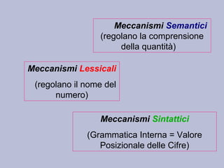 Meccanismi Semantici
(regolano la comprensione
della quantità)
Meccanismi Lessicali
(regolano il nome del
numero)
Meccanismi Sintattici
(Grammatica Interna = Valore
Posizionale delle Cifre)
 
