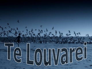 Te Louvarei 