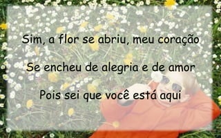 Perto de mim - Catedral