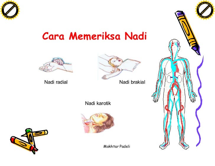 Pertolongan Cemas