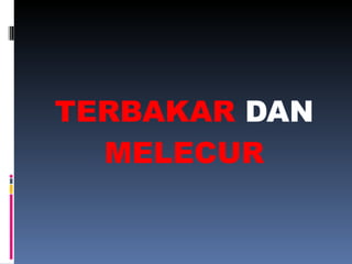 TERBAKAR  DAN  MELECUR 