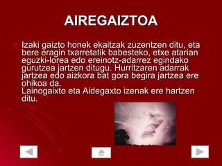 AIREGAIZTOA Izaki gaizto honek ekaitzak zuzentzen ditu, eta bere eragin txarretatik babesteko, etxe atarian eguzki-lorea edo ereinotz-adarrez egindako gurutzea jartzen ditugu. Hurritzaren adarrak jartzea edo aizkora bat gora begira jartzea ere ohikoa da. Lainogaixto eta Aidegaxto izenak ere hartzen ditu. 
