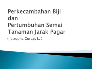( Jatropha Curcas L. )

 