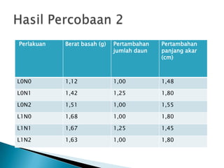 Perlakuan

Berat basah (g)

Pertambahan
jumlah daun

Pertambahan
panjang akar
(cm)

L0N0

1,12

1,00

1,48

L0N1

1,42

1,25

1,80

L0N2

1,51

1,00

1,55

L1N0

1,68

1,00

1,80

L1N1

1,67

1,25

1,45

L1N2

1,63

1,00

1,80

 