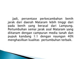 Jadi, persentase perkecambahan benih
jarak dari daerah Mataram lebih tinggi dari
pada benih yang berasal dari Lampung.
Pertumbuhan semai jarak asal Mataram yang
diitanam dengan campuran media tanah dan
pupuk kandang 1:1 dengan naungan 40%
menghasilkan kualitas pertumbuhan terbaik.

 