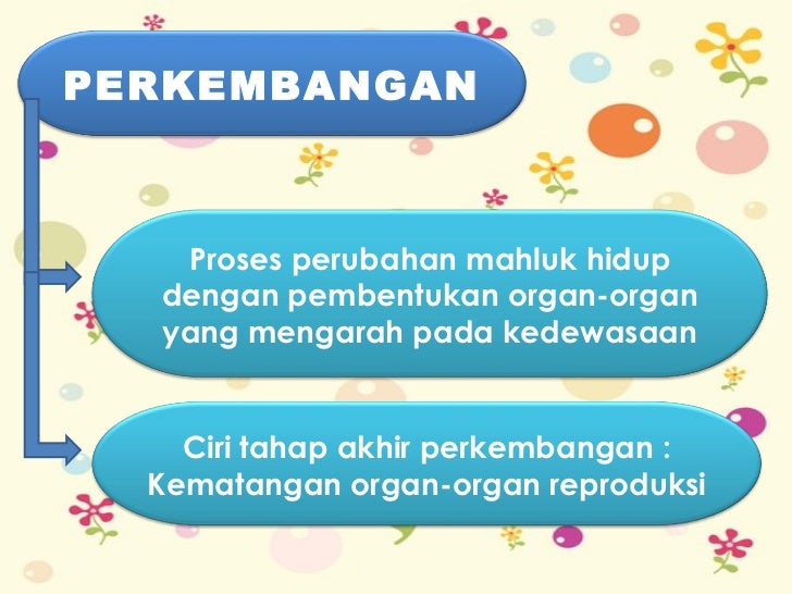 Gambar Proses Fertilisasi Pertumbuhan dan perkembangan untuk kelas 8 Gambar Proses Fertilisasi Pertumbuhan dan perkembangan untuk kelas 8