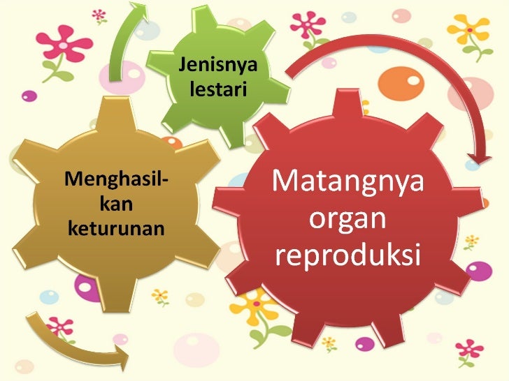 Gambar Proses Fertilisasi Pertumbuhan dan perkembangan untuk kelas 8 Gambar Proses Fertilisasi Pertumbuhan dan perkembangan untuk kelas 8