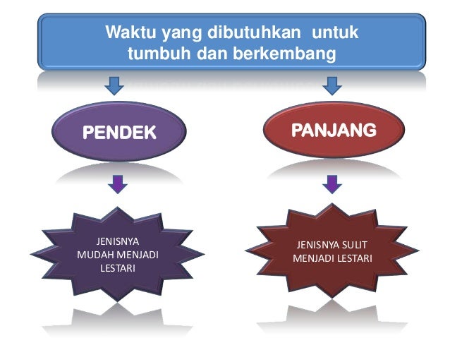 Pertumbuhan Danperkembangan