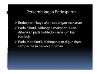 Perkembangan Endosperm

Endosperm kaya akan cadangan makanan
Pada dikotil, cadangan makanan akan
diberikan pada kotiledon sebelum biji
tumbuh
Pada Monokotil, disimpan dan digunakan
sampai masa perkecambahan
 
