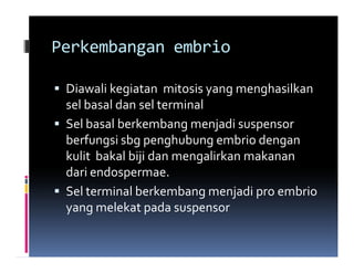 Perkembangan embrio

 Diawali kegiatan mitosis yang menghasilkan
 sel basal dan sel terminal
 Sel basal berkembang menjadi suspensor
 berfungsi sbg penghubung embrio dengan
 kulit bakal biji dan mengalirkan makanan
 dari endospermae.
 Sel terminal berkembang menjadi pro embrio
 yang melekat pada suspensor
 
