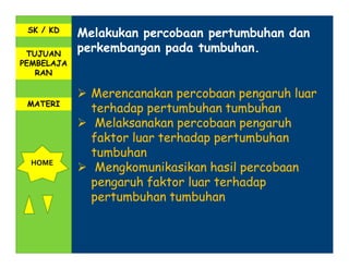 SK / KD
            Melakukan percobaan pertumbuhan dan
 TUJUAN
            perkembangan pada tumbuhan.
PEMBELAJA
   RAN

              Merencanakan percobaan pengaruh luar
 MATERI
              terhadap pertumbuhan tumbuhan
               Melaksanakan percobaan pengaruh
              faktor luar terhadap pertumbuhan
              tumbuhan
  HOME
               Mengkomunikasikan hasil percobaan
              pengaruh faktor luar terhadap
              pertumbuhan tumbuhan
 