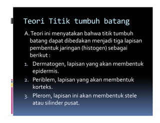 Teori Titik tumbuh batang
A. Teori ini menyatakan bahwa titik tumbuh
  batang dapat dibedakan menjadi tiga lapisan
  pembentuk jaringan (histogen) sebagai
  berikut :
1. Dermatogen, lapisan yang akan membentuk
    epidermis.
2. Periblem, lapisan yang akan membentuk
    korteks.
3. Plerom, lapisan ini akan membentuk stele
    atau silinder pusat.
 