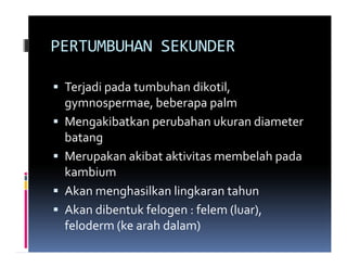 PERTUMBUHAN SEKUNDER

 Terjadi pada tumbuhan dikotil,
 gymnospermae, beberapa palm
 Mengakibatkan perubahan ukuran diameter
 batang
 Merupakan akibat aktivitas membelah pada
 kambium
 Akan menghasilkan lingkaran tahun
 Akan dibentuk felogen : felem (luar),
 feloderm (ke arah dalam)
 