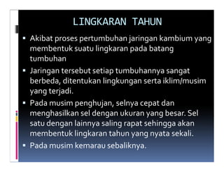 LINGKARAN TAHUN
Akibat proses pertumbuhan jaringan kambium yang
membentuk suatu lingkaran pada batang
tumbuhan
Jaringan tersebut setiap tumbuhannya sangat
berbeda, ditentukan lingkungan serta iklim/musim
yang terjadi.
Pada musim penghujan, selnya cepat dan
menghasilkan sel dengan ukuran yang besar. Sel
satu dengan lainnya saling rapat sehingga akan
membentuk lingkaran tahun yang nyata sekali.
Pada musim kemarau sebaliknya.
 