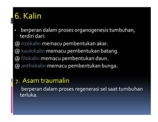 6. Kalin
• berperan dalam proses organogenesis tumbuhan,
 terdiri dari:
@ rizokalin memacu pembentukan akar.
@ kaulokalin memacu pembentukan batang.
@ filokalin memacu pembentukan daun.
@ anthokalin memacu pembentukan bunga.

7. Asam traumalin
     berperan dalam proses regenerasi sel saat tumbuhan
    terluka.
 
