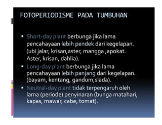 FOTOPERIODISME PADA TUMBUHAN

 Short-day plant berbunga jika lama
 pencahayaan lebih pendek dari kegelapan.
 (ubi jalar, krisan,aster, mangga ,apokat.
 Aster, krisan, dahlia).
 Long-day plant berbunga jika lama
 pencahayaan lebih panjang dari kegelapan.
 (bayam, kentang, gandum,slada).
 Neutral-day plant tidak terpengaruh oleh
 lama (periode) penyinaran (bunga matahari,
 kapas, mawar, cabe, tomat).
 