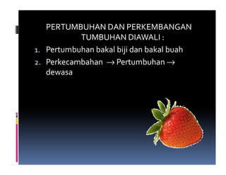 PERTUMBUHAN DAN PERKEMBANGAN
           TUMBUHAN DIAWALI :
1. Pertumbuhan bakal biji dan bakal buah
2. Perkecambahan → Pertumbuhan →
   dewasa
 