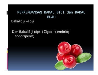 PERKEMBANGAN BAKAL BIJI dan BAKAL
                   BUAH
Bakal biji →biji

Dlm Bakal Biji tdpt ( Zigot → embrio;
 endorsperm)
 