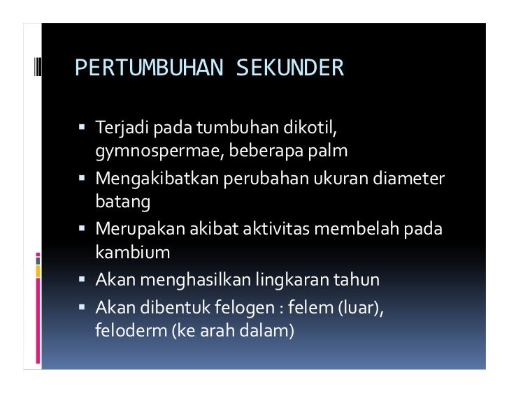 Pertumbuhan dan perkembangan Ismail