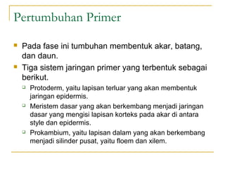 Pertumbuhan Primer
   Pada fase ini tumbuhan membentuk akar, batang,
    dan daun.
   Tiga sistem jaringan primer yang terbentuk sebagai
    berikut.
       Protoderm, yaitu lapisan terluar yang akan membentuk
        jaringan epidermis.
       Meristem dasar yang akan berkembang menjadi jaringan
        dasar yang mengisi lapisan korteks pada akar di antara
        style dan epidermis.
       Prokambium, yaitu lapisan dalam yang akan berkembang
        menjadi silinder pusat, yaitu floem dan xilem.
 
