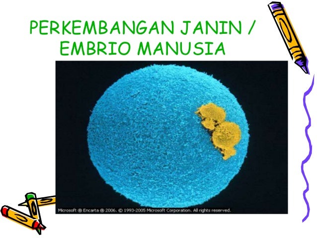 Pertumbuhan dan perkembangan