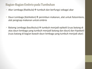 Pertumbuhan dan perkembangan | PPTX