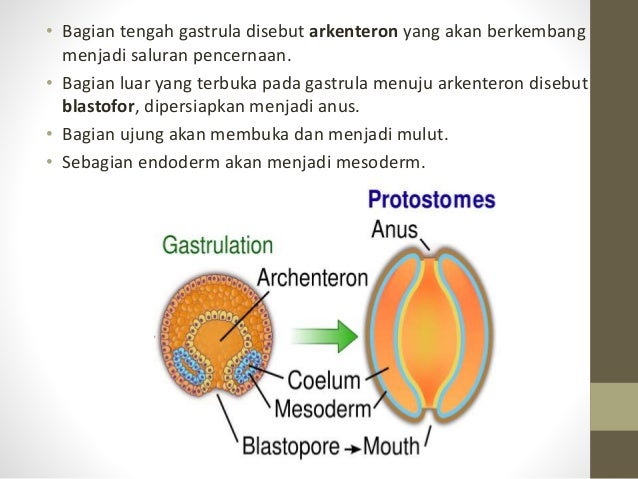 Pertumbuhan dan perkembangan