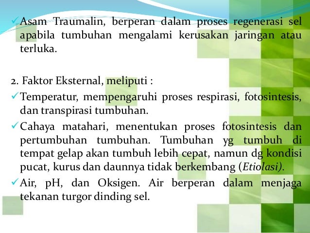 Pertumbuhan dan perkembangan