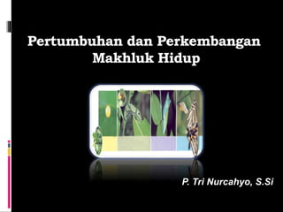 Pertumbuhan dan Perkembangan
Makhluk Hidup
P. Tri Nurcahyo, S.Si
 
