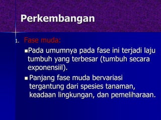 Perkembangan
1. Fase muda:
Pada umumnya pada fase ini terjadi laju
tumbuh yang terbesar (tumbuh secara
exponensiil).
 Panjang fase muda bervariasi
tergantung dari spesies tanaman,
keadaan lingkungan, dan pemeliharaan.
 