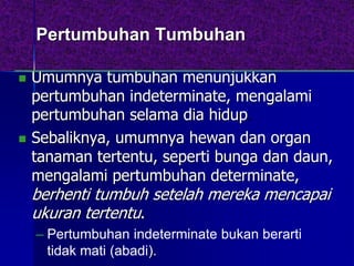 Pertumbuhan Tumbuhan
 Umumnya tumbuhan menunjukkan
pertumbuhan indeterminate, mengalami
pertumbuhan selama dia hidup.
 Sebaliknya, umumnya hewan dan organ
tanaman tertentu, seperti bunga dan daun,
mengalami pertumbuhan determinate,
berhenti tumbuh setelah mereka mencapai
ukuran tertentu.
– Pertumbuhan indeterminate bukan berarti
tidak mati (abadi).
 