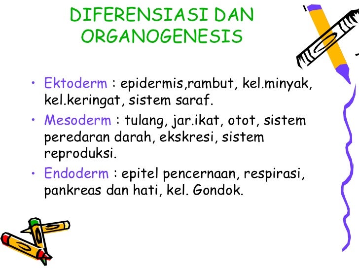 Pertumbuhan dan perkembangan keseluruhan