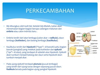 PERTUMBUHAN DAN PERKEMBANGAN MAHLUK HIDUP | PPTX
