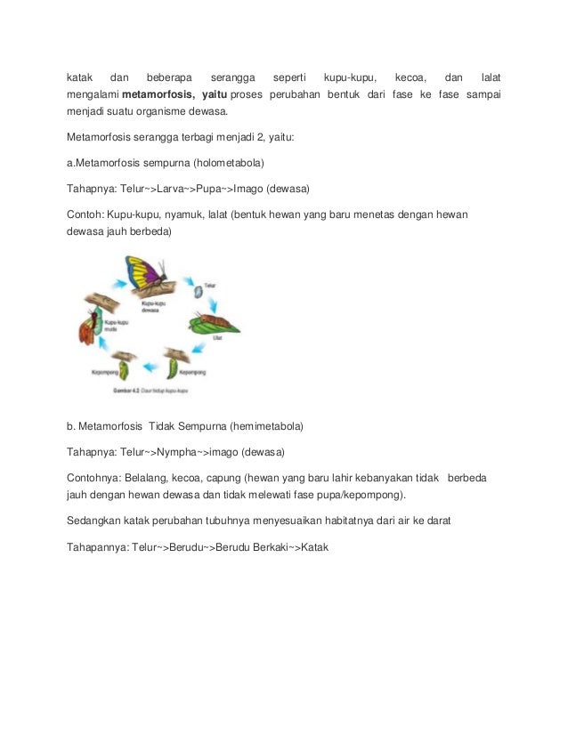 Pertumbuhan dan perkembangan pada makhluk hidup