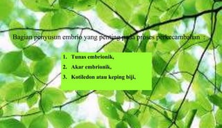 Pertumbuhan dan perkembangan pada tumbuhan | PPTX