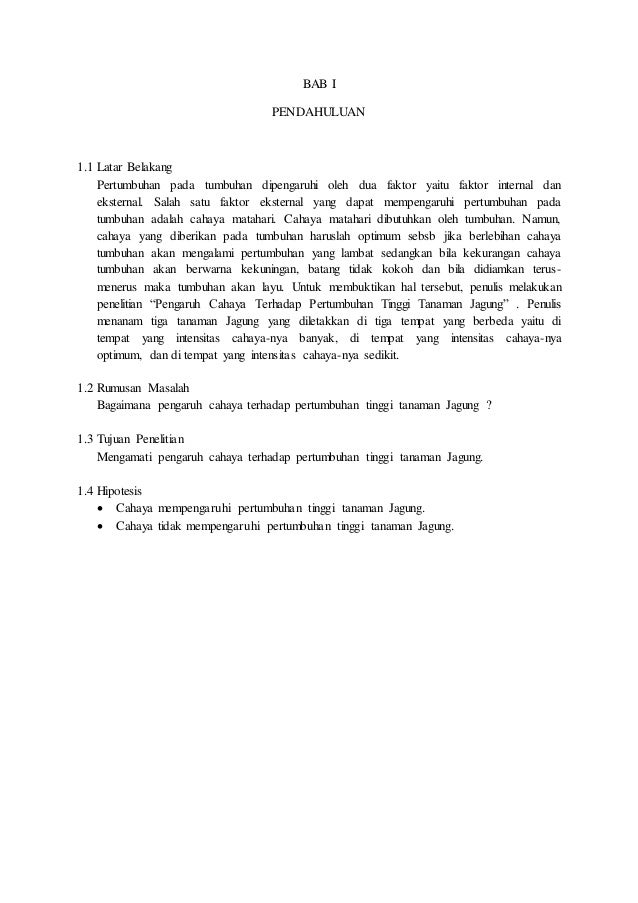 Laporan Pertumbuhan Jagung