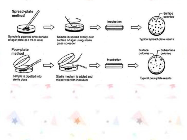 Hasil gambar untuk metode spread plate