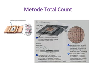 Metode Total Count
 
