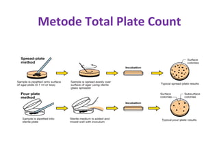 Metode Total Plate Count
 