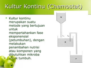 Kultur Kontinu (Chemostat)Kultur Kontinu (Chemostat)
 Kultur kontinu
merupakan suatu
metode yang bertujuan
untuk
mempertahankan fase
eksponensial
(petumbuhan), dengan
melakukan
penambahan nutrisi
atau komponen yang
dibutuhkan mikroba
untuk tumbuh.
 