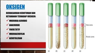 OKSIGEN
BERDASARKAN KEBUTUHAN DAN
KETAHANAN TERHADAP OKSIGEN:
MIKROBIA AEROBIC
ANAEROBIK
FAKULTATIF
MIKROAEROFILIK
AEROTOLERAN
 
