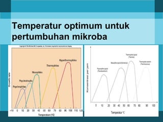 Temperatur optimum untuk
pertumbuhan mikroba
 