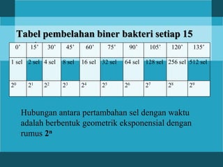 Tabel pembelahan biner bakteri setiap 15
menit
Hubungan antara pertambahan sel dengan waktu
adalah berbentuk geometrik eksponensial dengan
rumus 2n
0’ 15’ 30’ 45’ 60’ 75’ 90’ 105’ 120’ 135’
1 sel 2 sel 4 sel 8 sel 16 sel 32 sel 64 sel 128 sel 256 sel 512 sel
20 21 22 23 24 25 26 27 28 29
 