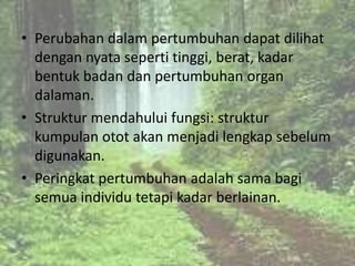 • Perubahan dalam pertumbuhan dapat dilihat
  dengan nyata seperti tinggi, berat, kadar
  bentuk badan dan pertumbuhan organ
  dalaman.
• Struktur mendahului fungsi: struktur
  kumpulan otot akan menjadi lengkap sebelum
  digunakan.
• Peringkat pertumbuhan adalah sama bagi
  semua individu tetapi kadar berlainan.
 