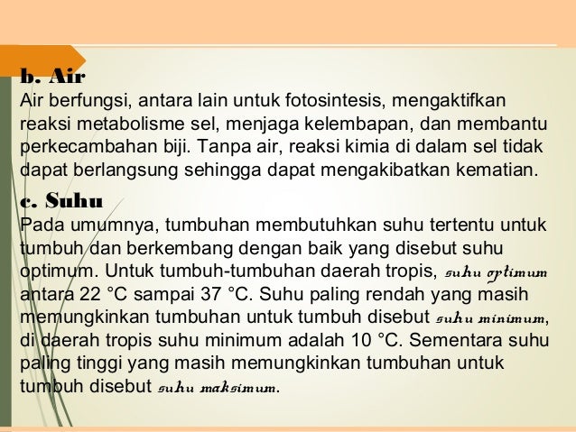 Pertumbuhan Perkembangan Tumbuhan