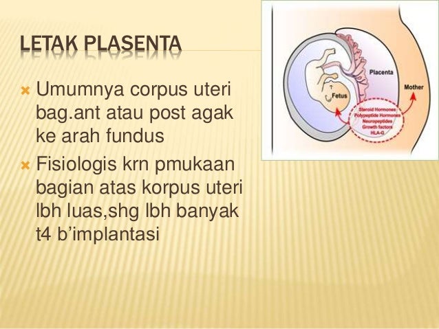 Pertumbuhan plasenta dr.emminarty