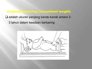 Recumbent Length Pertumbuhan somatik | PPTX