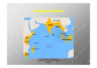 Tsunami do Índico

Perturbações no equilíbrio dos
ecossistemas - Efeitos das catástrofes
naturais

12

 