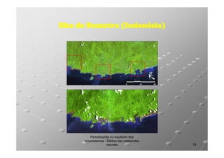 Ilha de Sumatra (Indonésia)

Perturbações no equilíbrio dos
ecossistemas - Efeitos das catástrofes
naturais

13

 
